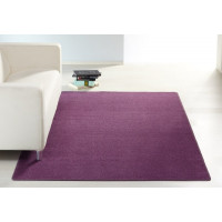 Kusový koberec Nasty 101150 Purple
