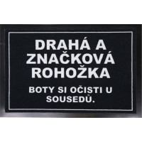 Drahá a značková rohožka 40x60 cm - na ven i na doma