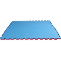 Pěnový koberec Champion 100,5x100,5x4cm - modročervený