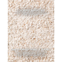 Kusový koberec Ted Baker Notting Hill 106343 Cream Beige