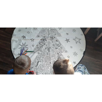 KOBEREC - OMALOVÁNKY - Nut Cracker