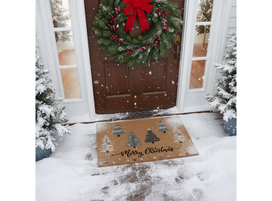 Rohožka WINTER TIME 40x60 cm - přírodní