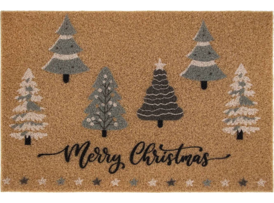 Rohožka WINTER TIME 40x60 cm - přírodní